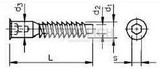 Connection screw with pan head